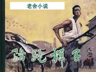 pr九尾狐正能量视频在线观看免费